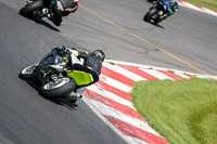 Lower Group Black Bikes
